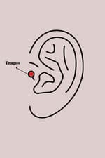 Çelik Gümüş Renk Mor Mineli Kalp Zirkon Taş Detay Tragus Piercing - görsel 2